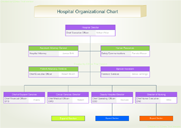 H&ocirc;pital Organigramme hié rarchique