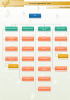 Company Organizatinal Chart examples