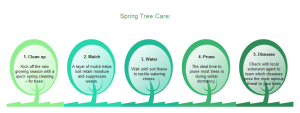顺序图 - 怎样护理树木
