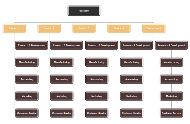 Divisional Structure Organization Chart
