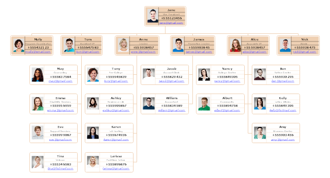 School Organizational Chart And Its Function