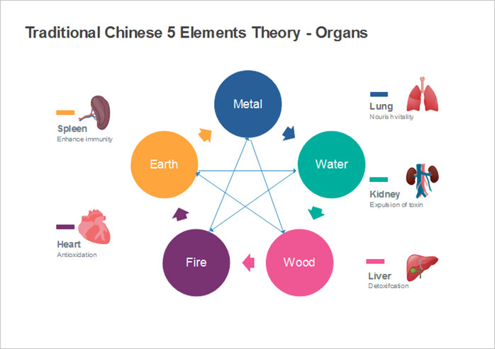 5 Elemente Theorie Diagramm - Organe