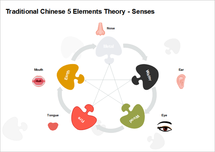 5 Elements Theory Chart - Organs