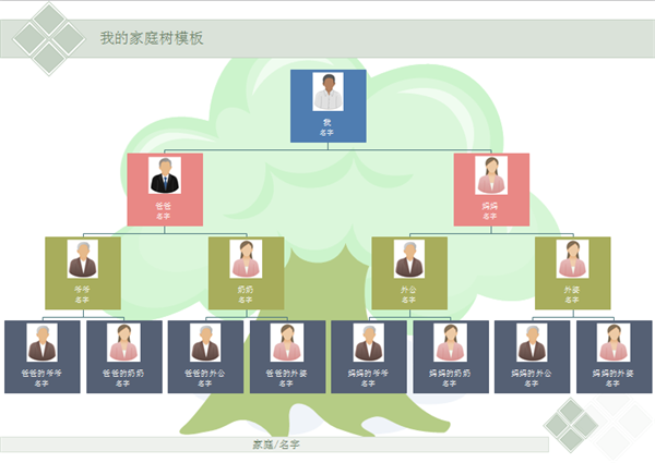 带照片的家庭树设计模板