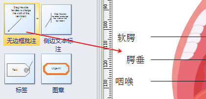 人体器官标注符号