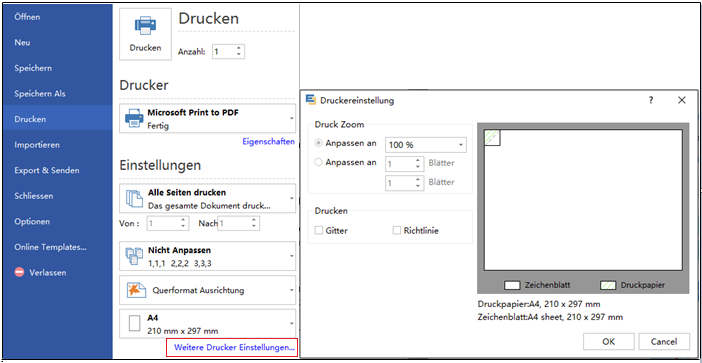 Netzwerkdiagramm in 1 Seite drucken