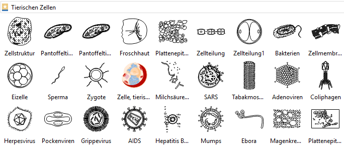 Zellen und Virus