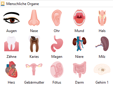Symbole für Menschliche Organe