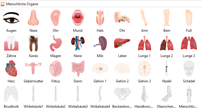 Symbole für Menschliche Organe