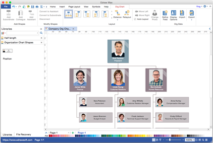 Professionelle Organigramm Software