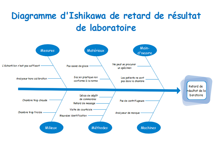 exemple diagramme d'ishikawa à personnaliser