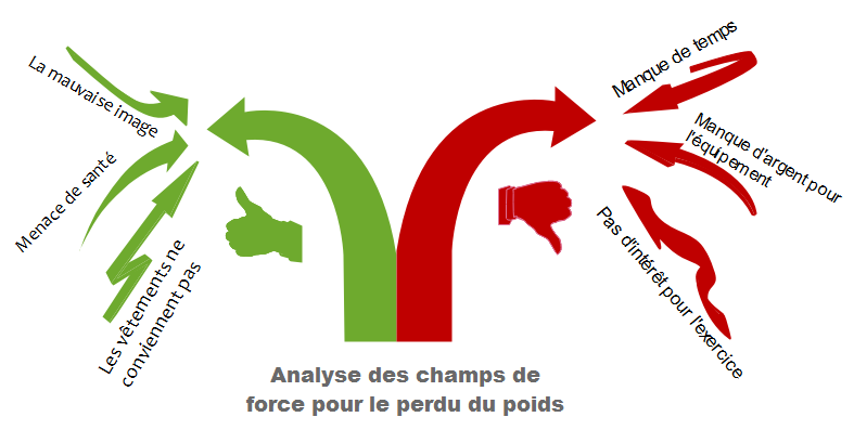 Exemple d'analyse des champs de force pour le perdre du poids