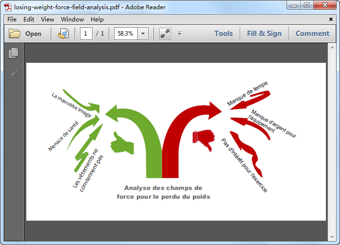 Modèle en format PDF pour l'analyse des champs de force