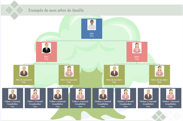 Modèles d'arbre généalogique avec photo