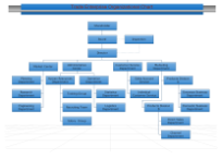 organigramme d'entreprise commerciale