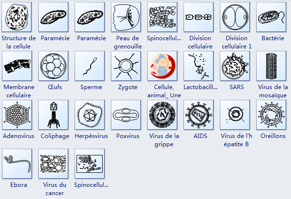 Symboles de cellule d'animal