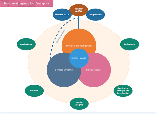 Modèle de structure de l'organisation