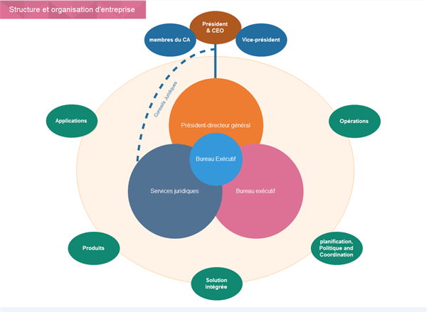 modele organigramme fonctionnel