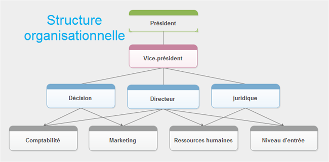 Structure organisationnelle d'entreprise