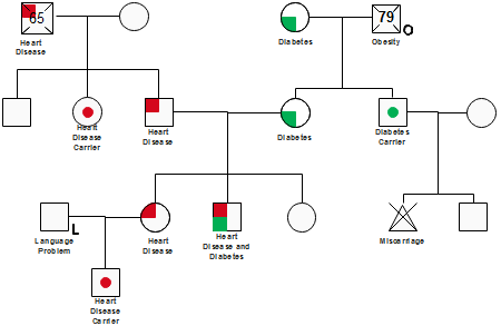 Genogram Template For Mac from www.edrawsoft.com