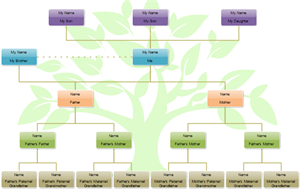 Family Tree Hierarchy Chart