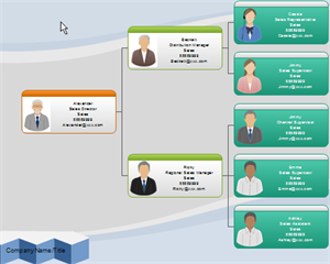 exemple d'organigramme