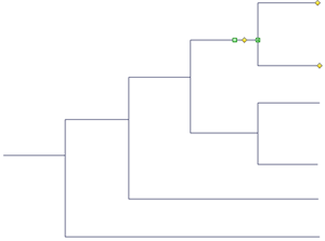 Estructura del árbol de eventos