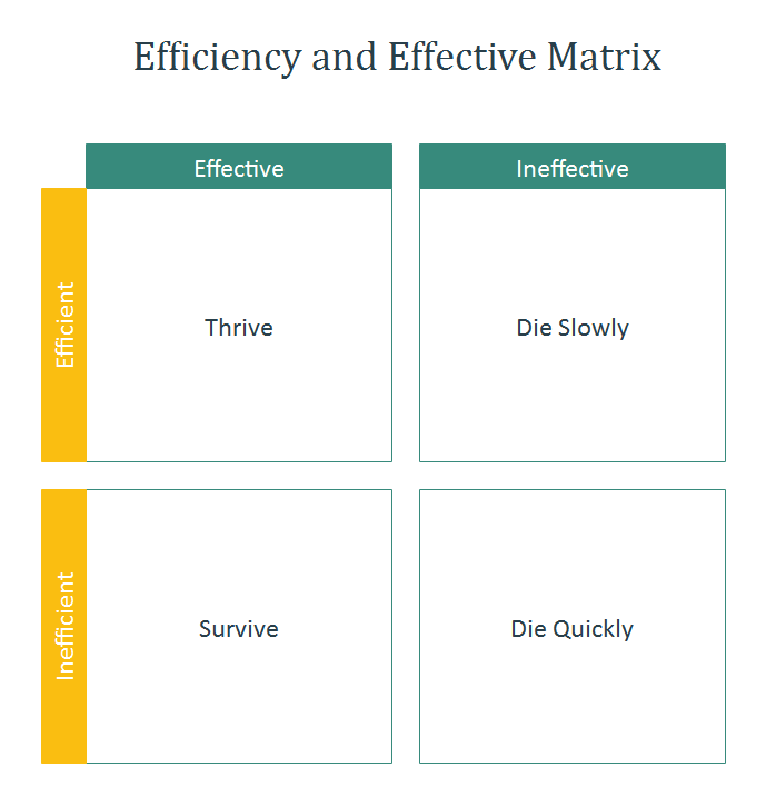 Efficiency and Effective Matrix Template 1