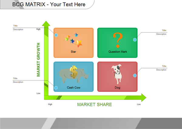 BCG Matrix Example