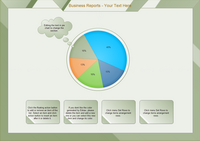 Business Reports Pie