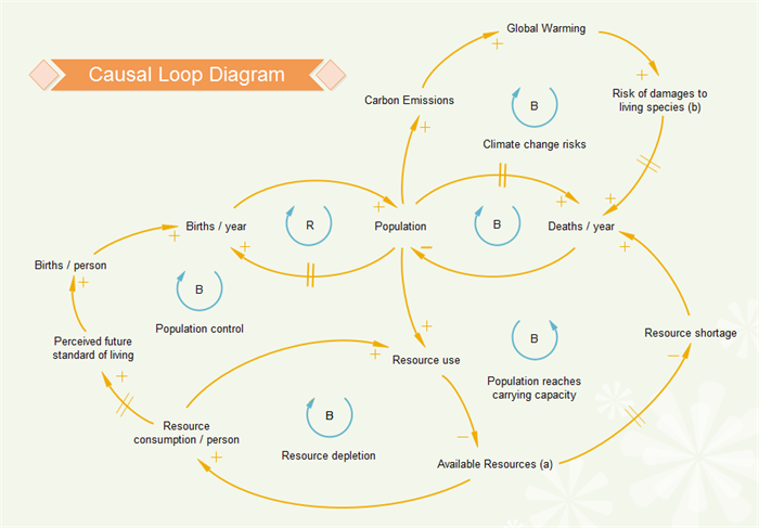 causal loop diagrams literature review