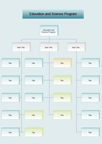 Education and Science school Organizational Chart