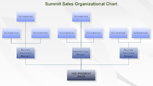 Practical Skills for Making Professional Organizational Chart