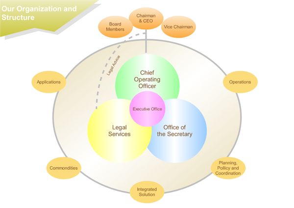 Modelo de organización y estructura