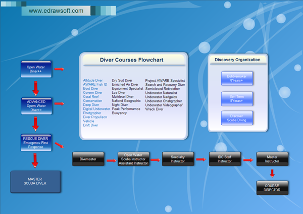 Transaction Flow Chart Example