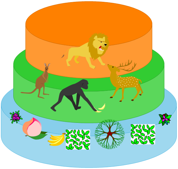 Ecosystem Pyramid Chart