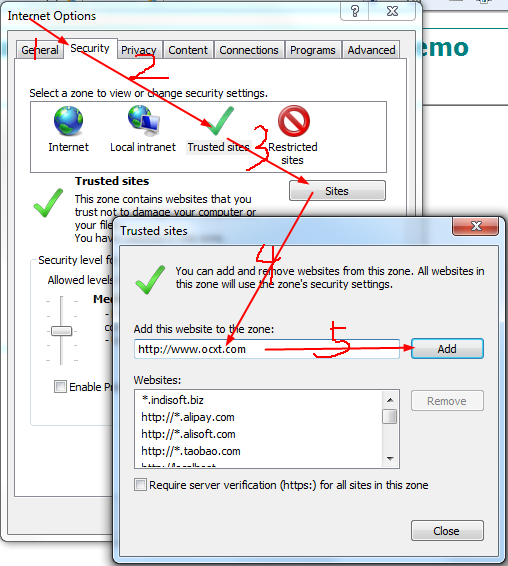 agrega el sitio web en el sitio de confianza de IE