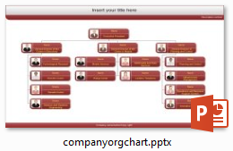 company org chart