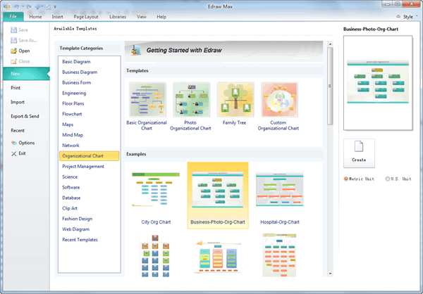 Type Of Business Organization Chart