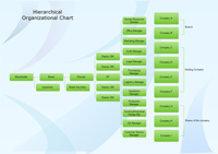 estrutura organizacional hierárquica