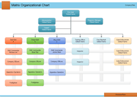 gráfico organizativo matriz