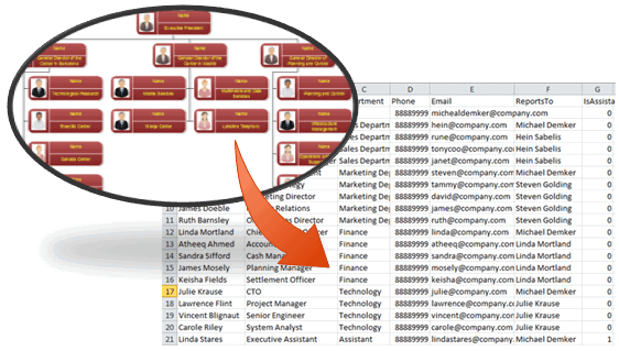 Data Organization Chart