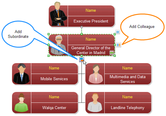 Entity Organization Chart Shapes