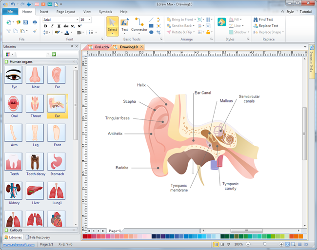 Programa de diagramas de anatomía humana