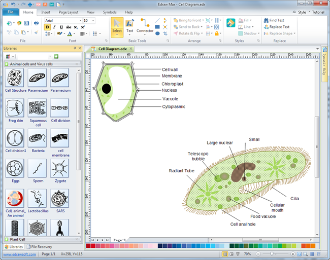 Cells Diagrams - Free Download Cells Diagram Software