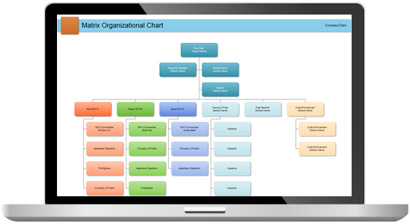 Professional Org Chart