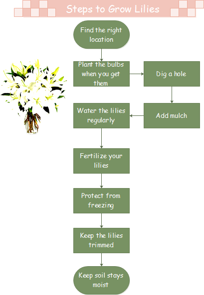 Step by Step Chart