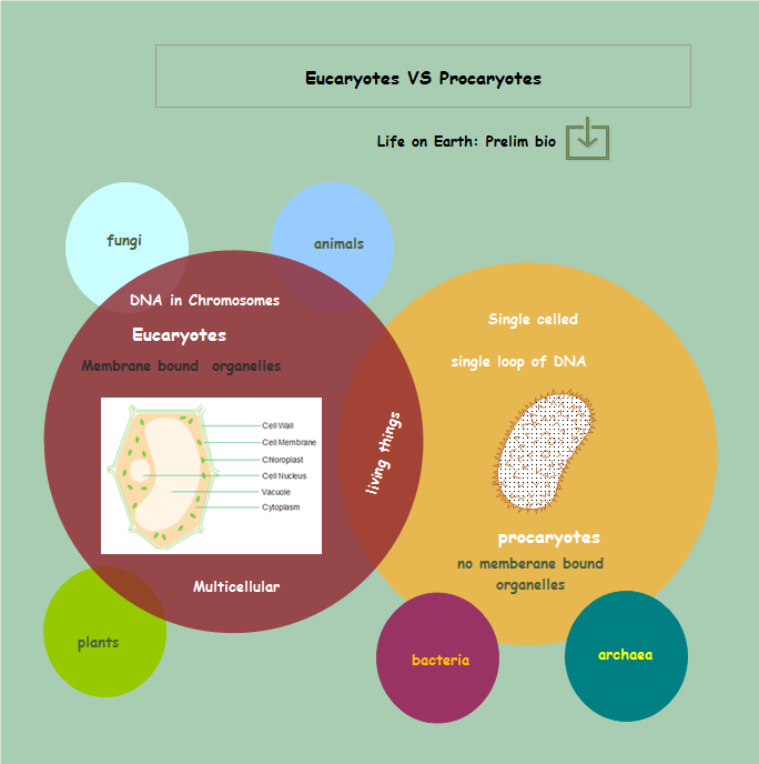 science infographic