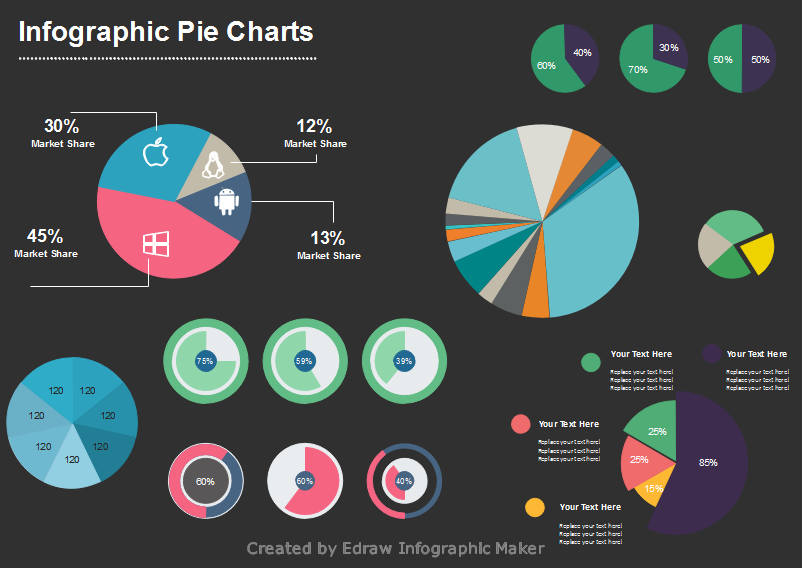 vector infographics Pie Charts