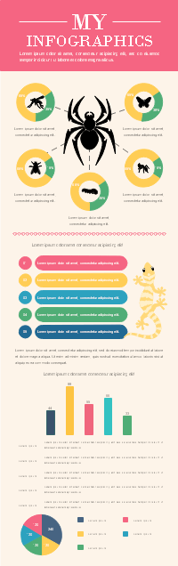 Insekten-Einführung Infografik-Vorlage